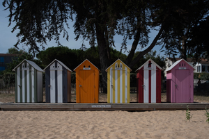 Traitement punaises de lit La Seyne-sur-Mer